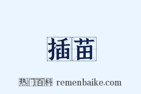 插苗是什么意思的图片